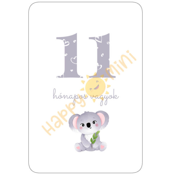 lanykartya-11-ho